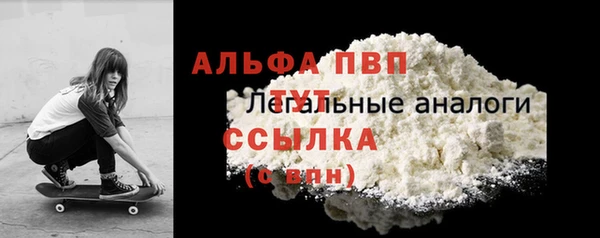 PSILOCYBIN Белокуриха