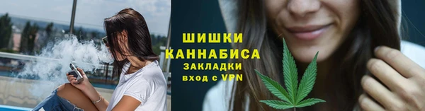 PSILOCYBIN Белокуриха
