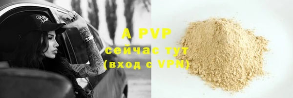 PSILOCYBIN Белокуриха