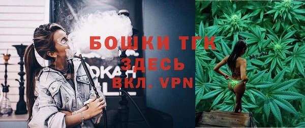 PSILOCYBIN Белокуриха
