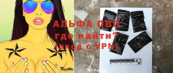 PSILOCYBIN Белокуриха