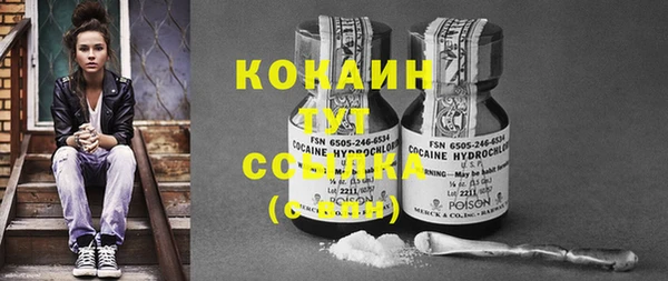 ECSTASY Семикаракорск