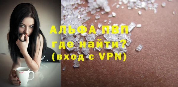 PSILOCYBIN Белокуриха