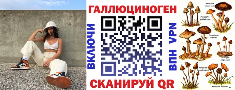 Галлюциногенные грибы прущие грибы  МЕГА как войти  Гудермес 