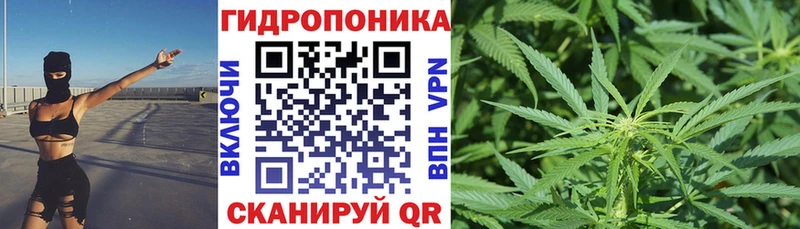 Канабис OG Kush  Гудермес 